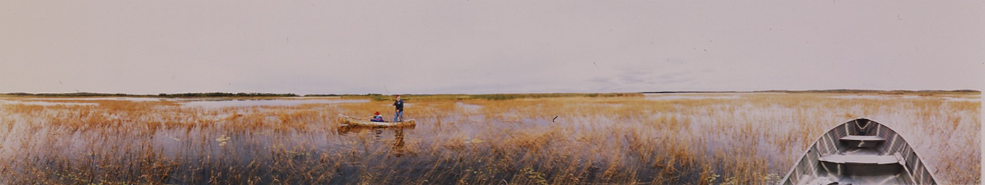 Harvesting Wild Rice